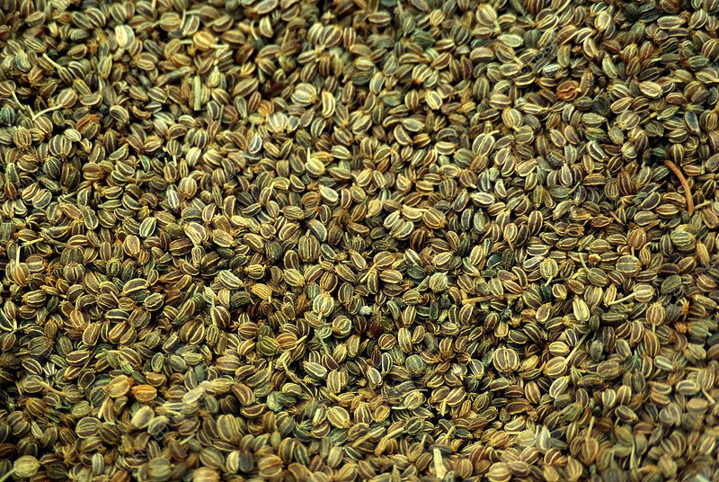 Celery Seeds